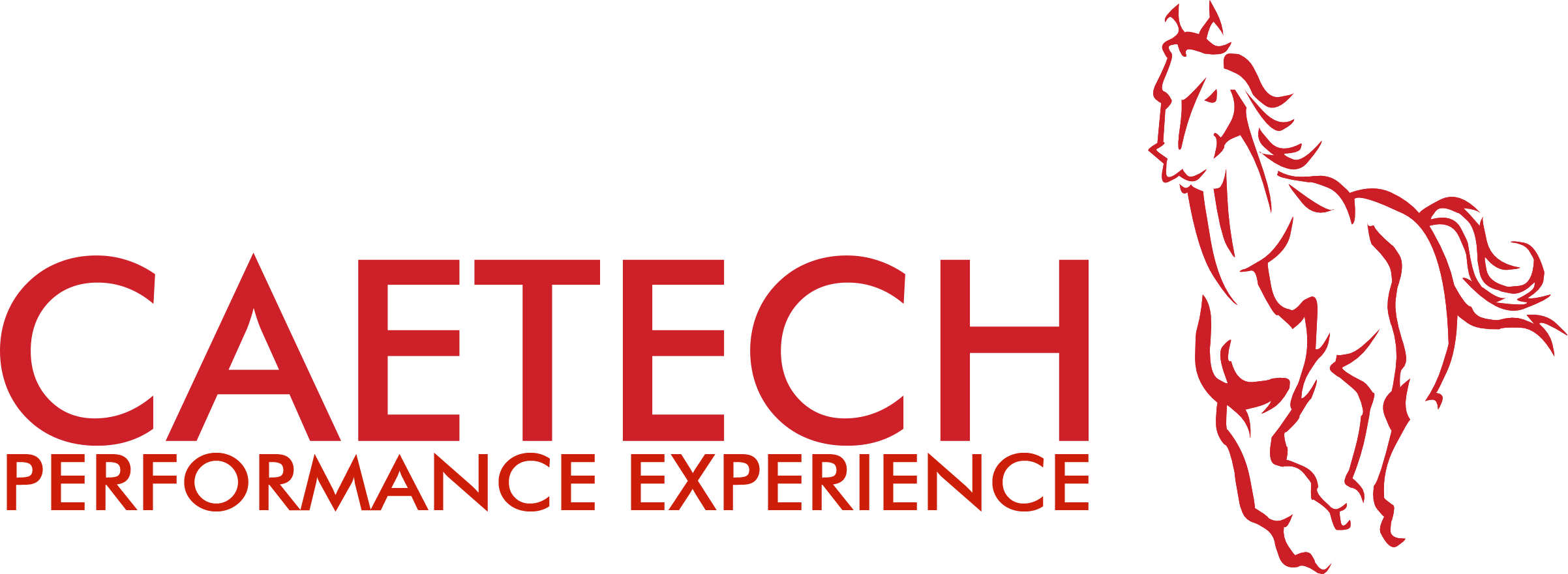 00_logo_caetech_performance_experience_Nero.png